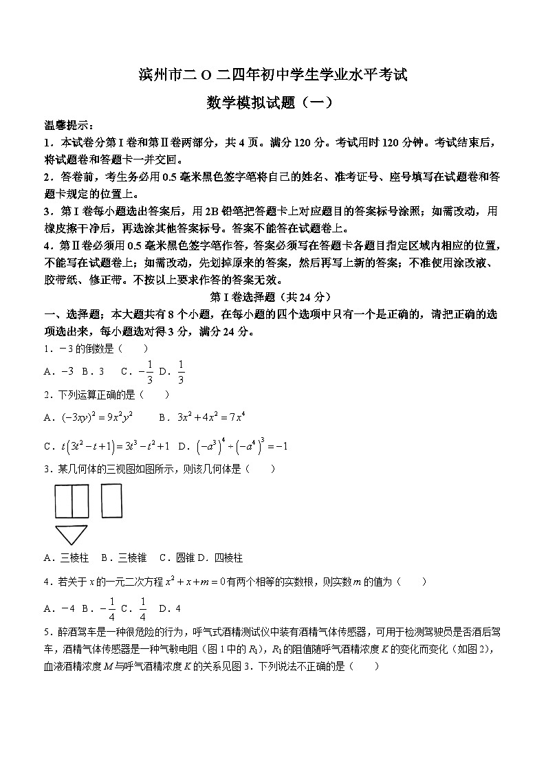 2024年山东省滨州市初中学业水平考试数学模拟试题（一）(无答案)01
