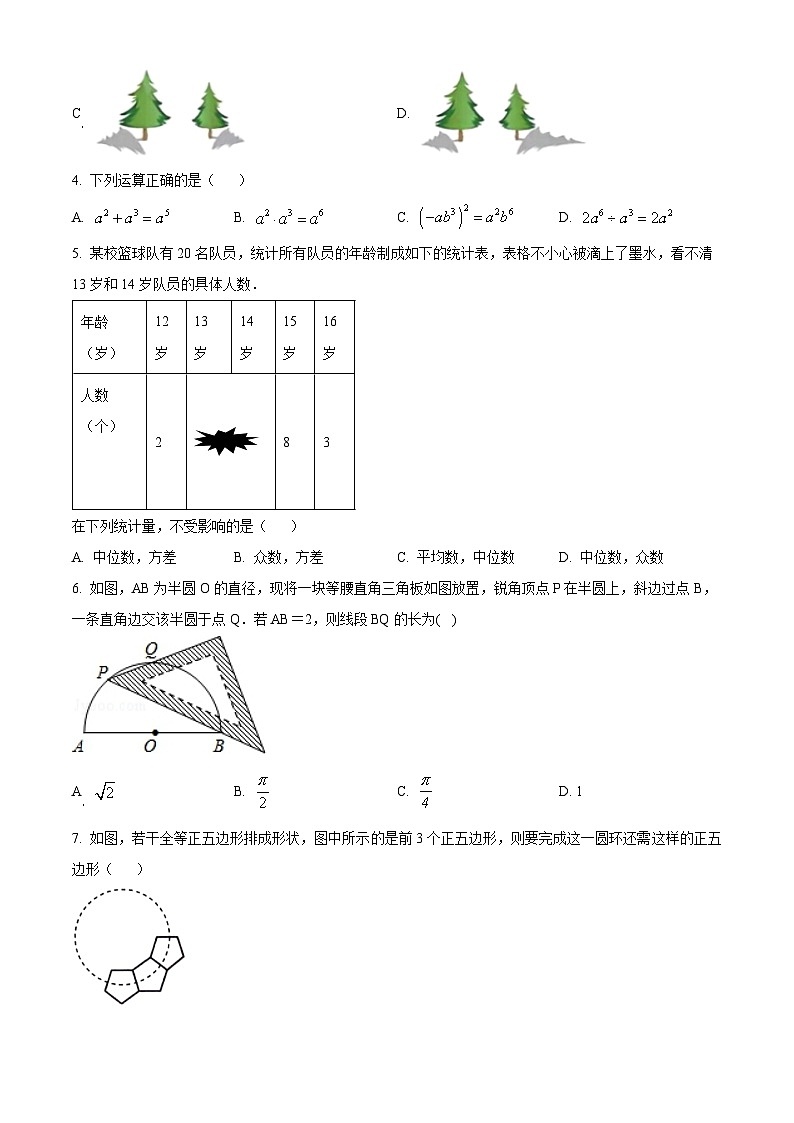2024年山东省济宁市曲阜市中考二模数学试题（原卷版+解析版）02