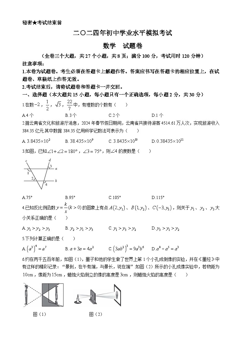 2024年云南省昭通市永善县九年级中考二模数学试题第1页