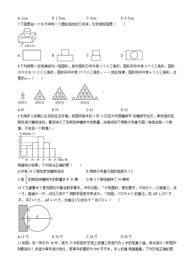 2024年云南省昭通市永善县九年级中考二模数学试题第2页