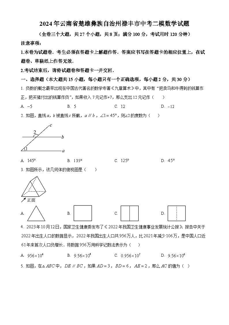 2024年云南省楚雄彝族自治州禄丰市中考二模数学试题（原卷版+解析版）01