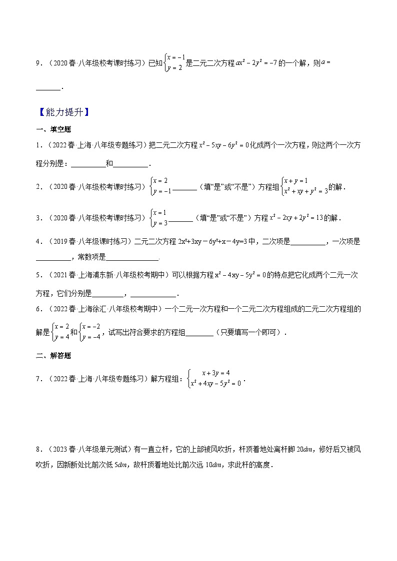 沪教版数学八年级下册21.5《二元二次方程和方程组》课件+分层练习02