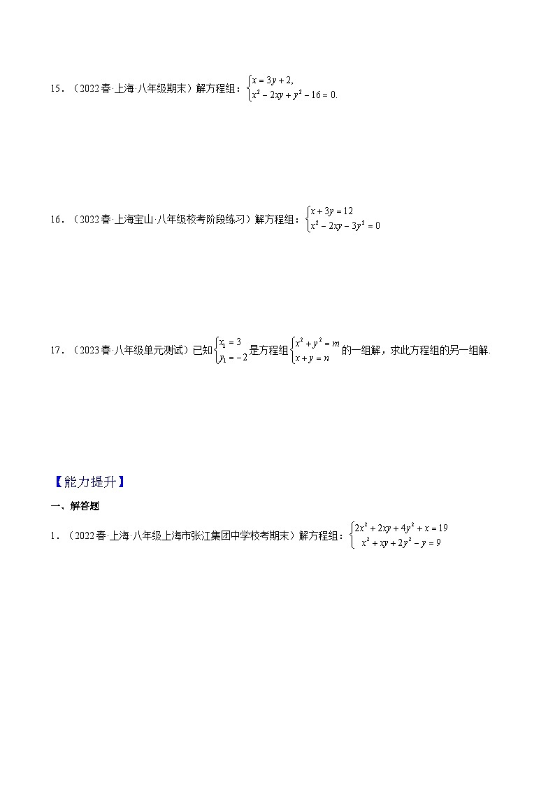 沪教版数学八年级下册21.6《二元二次方程组的解法》（分层练习）（原卷版）第3页