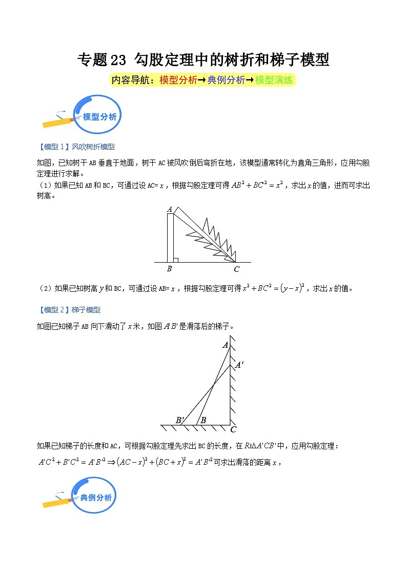 专题23 勾股定理中的树折和梯子模型（学生版）-中考数学几何模型（重点专练）第1页