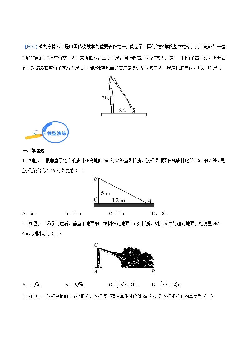 专题23 勾股定理中的树折和梯子模型（学生版）-中考数学几何模型（重点专练）第3页