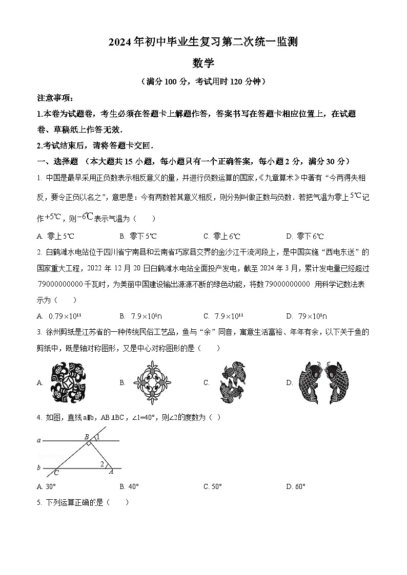 2024年云南省文山壮族苗族自治州文山市九年级中考二模数学试题（原卷版+解析版）01