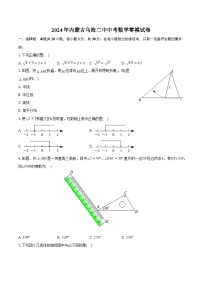 内蒙古自治区乌海市第二中学2024届九年级下学期中考零模数学试卷(含解析)