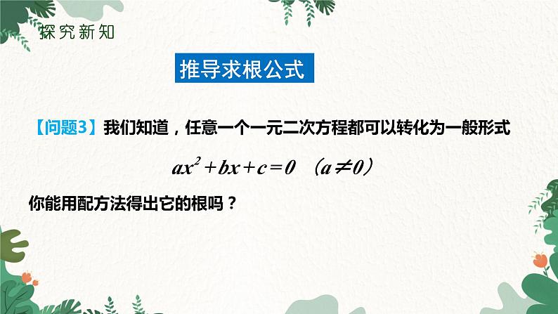 21.2.2 公式法 人教版数学九年级上册课件205