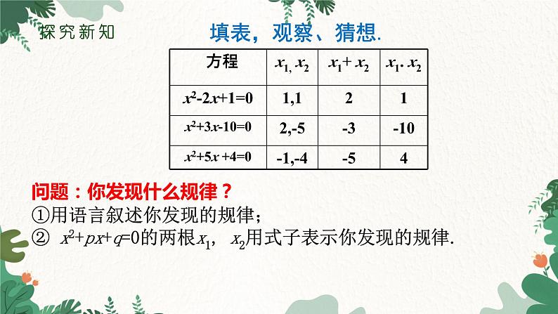 21.2.4 一元二次方程的根与系数的关系 人教版数学九年级上册课件205