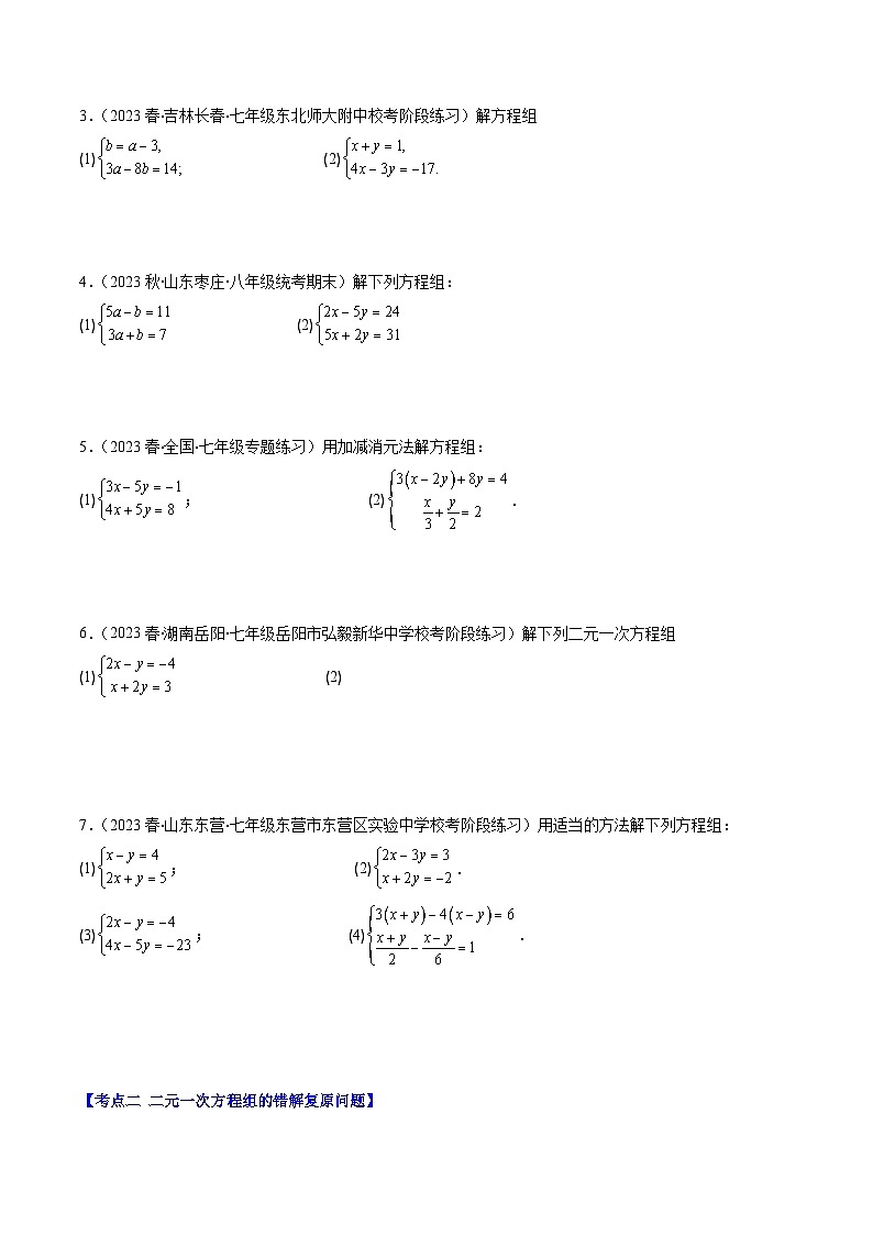 人教版七年级数学下册专题11解题技巧专题：与二元一次方程组解法有关的问题(原卷版+解析)(五大考点)第2页