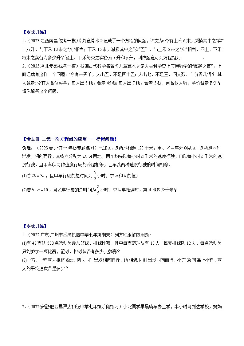 人教版七年级数学下册专题12实际问题与二元一次方程组(原卷版+解析)(6大考点)第3页