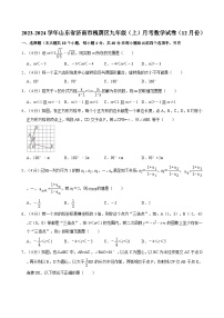 2023-2024学年山东省济南市槐荫区九年级（上）月考数学试卷（12月份）