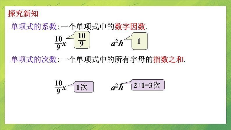 北师大版七年级上册数学第三章3.3整式课件PPT第7页