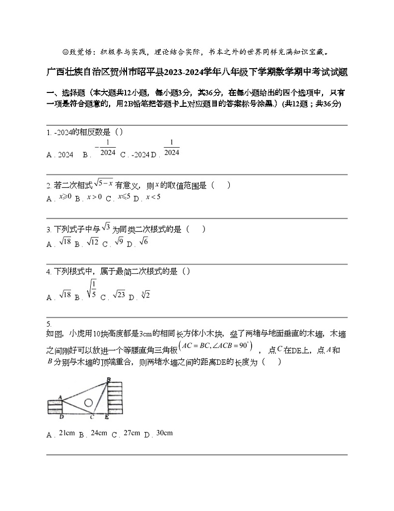 广西壮族自治区贺州市昭平县2023-2024学年八年级下学期数学期中考试试题第1页