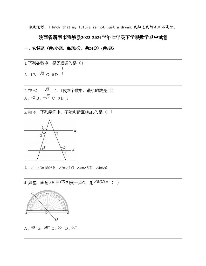 陕西省渭南市澄城县2023-2024学年七年级下学期数学期中试卷01