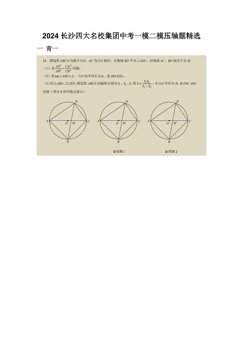2024长沙四大名校集团中考数学一模二模压轴题精选第1页