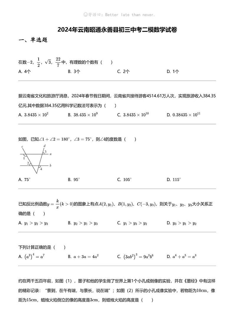 2024年云南昭通永善县初三中考二模数学试卷01