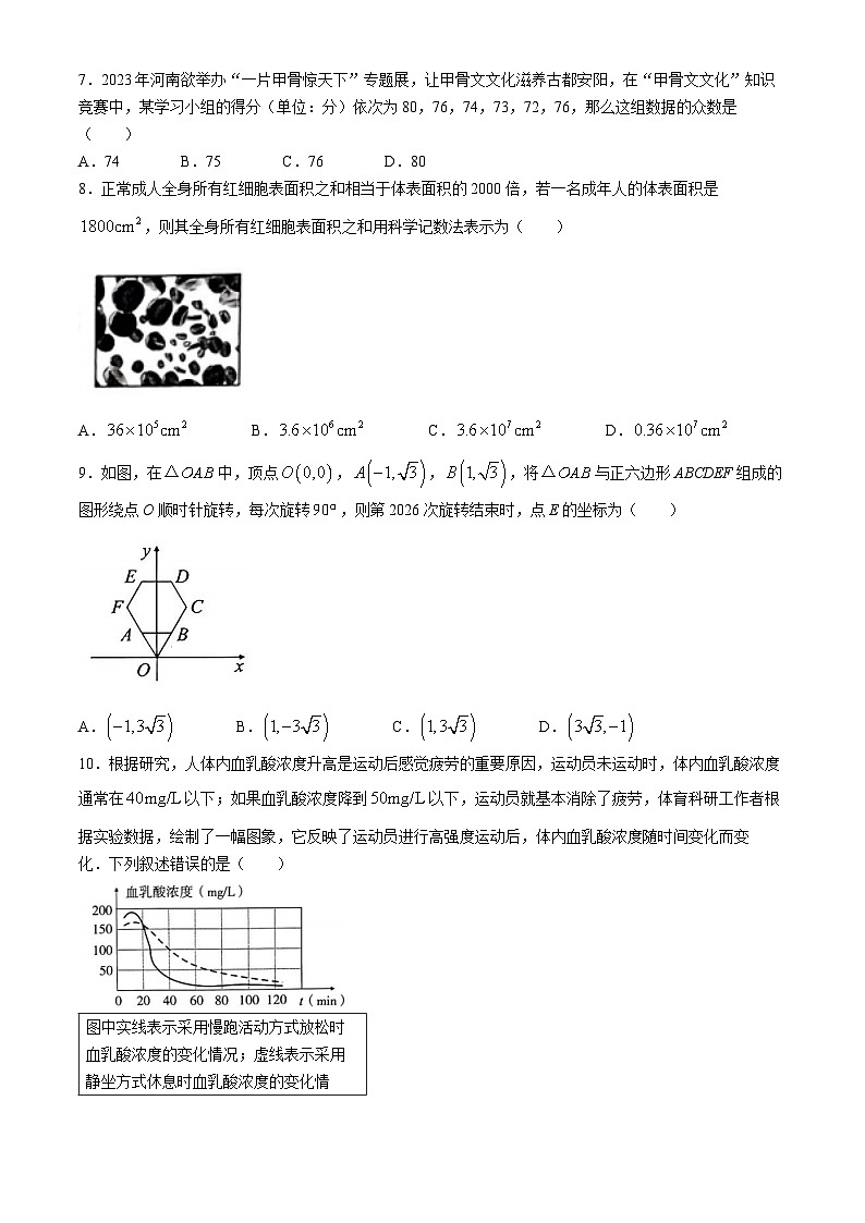 2024年河南省驻马店市确山县八校联考中考一模数学试题(无答案)第2页