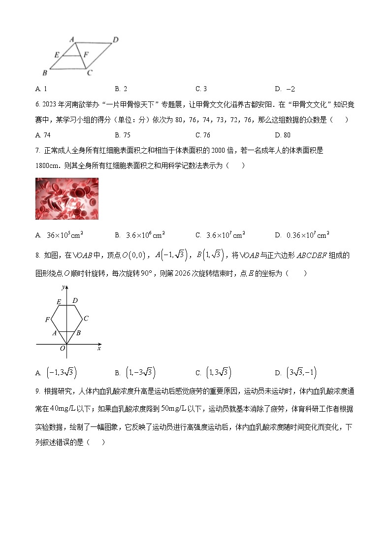 2024年河南省驻马店市确山县八校联考中考一模数学试题（原卷版）第2页