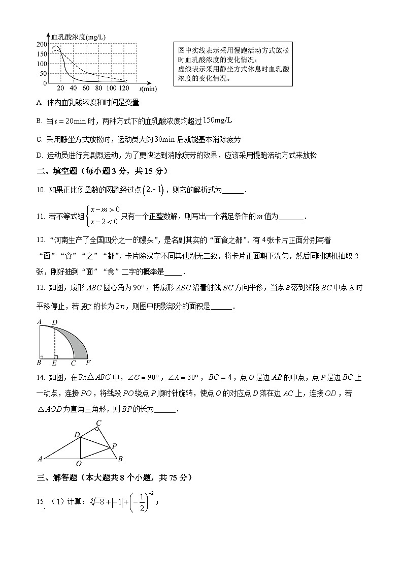2024年河南省驻马店市确山县八校联考中考一模数学试题（原卷版）第3页