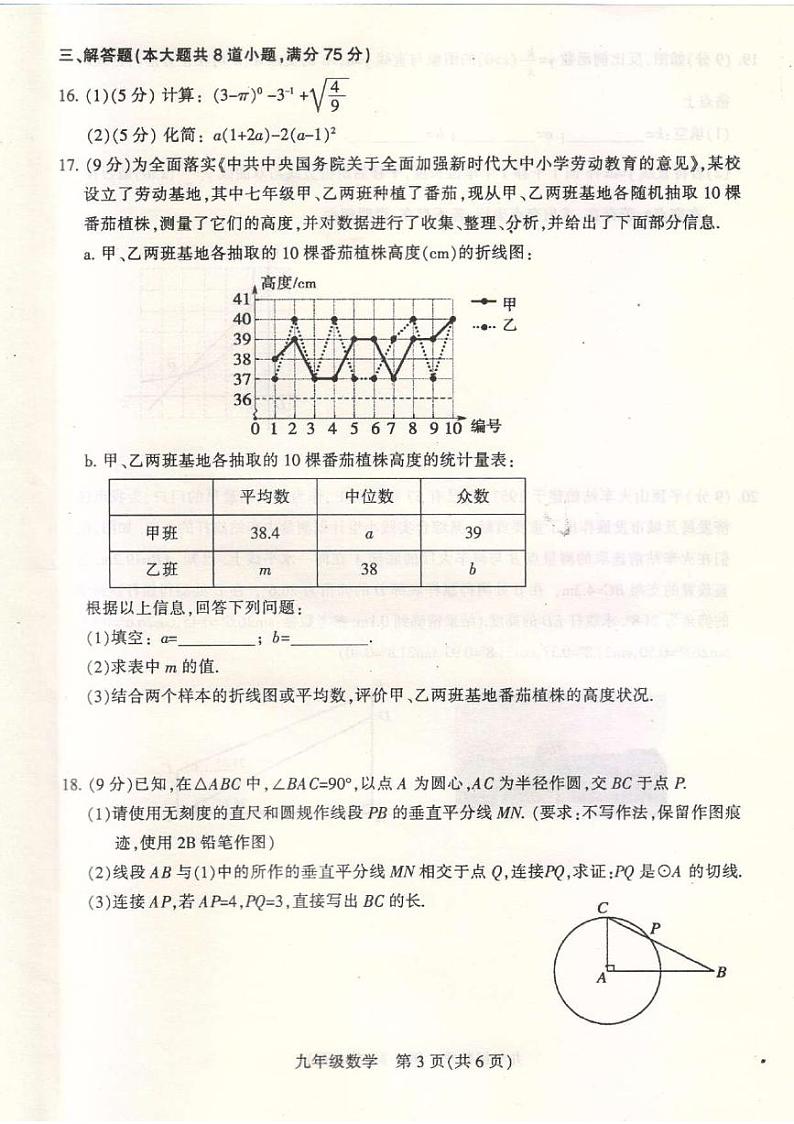 2024年河南省平顶山市九年级中考三模数学试题第3页