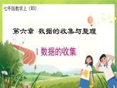 北師大版七年級(jí)上冊(cè)數(shù)學(xué)6.1 數(shù)據(jù)的收集課件PPT