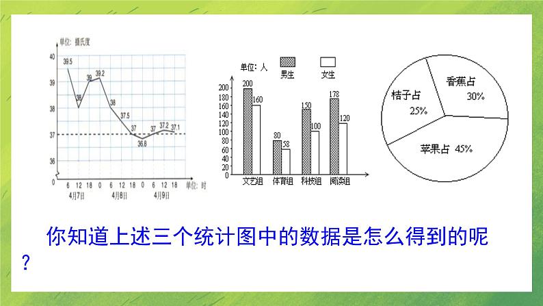 北师大版七年级上册数学6.1 数据的收集课件PPT06