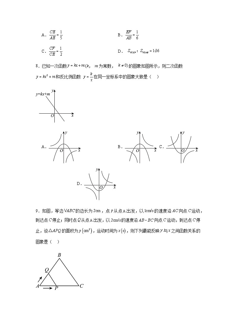 2024年广东省深圳市南山区中考三模数学试题第3页