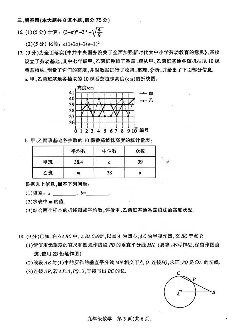 2024年河南省平顶山市九年级中考三模数学试题第3页