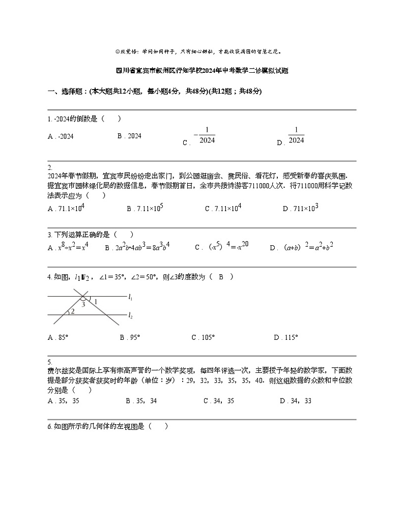 四川省宜宾市叙州区行知学校2024年中考数学二诊模拟试题01