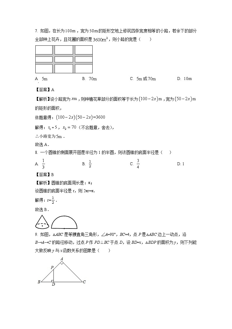 山东省东营市广饶县2024年九年级中考二模 数学试卷（解析版）03