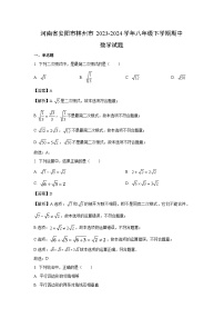 河南省安阳市林州市2023-2024学年八年级下学期期中数学试卷（解析版）