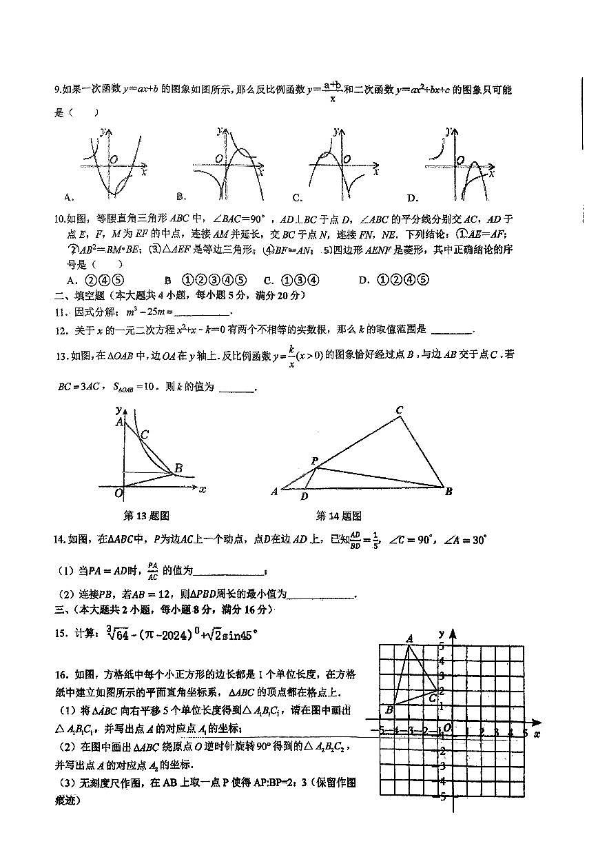 2024年安徽省合肥新站实验中学中考三模数学试卷（含答案）第2页