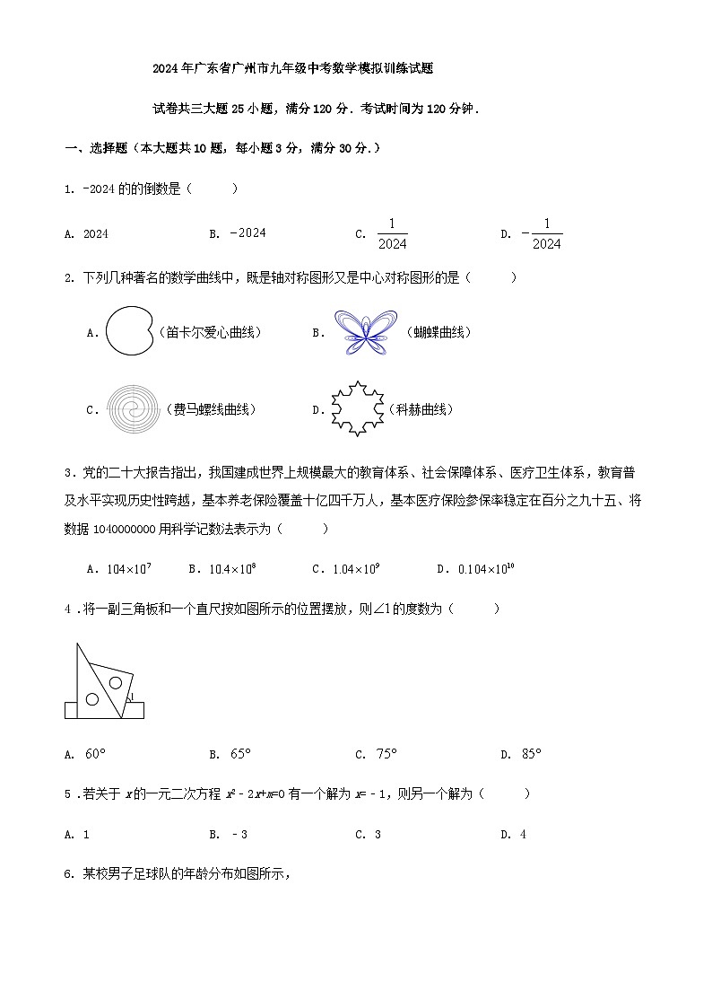 2024年广东省广州市九年级中考数学模拟训练试题第1页
