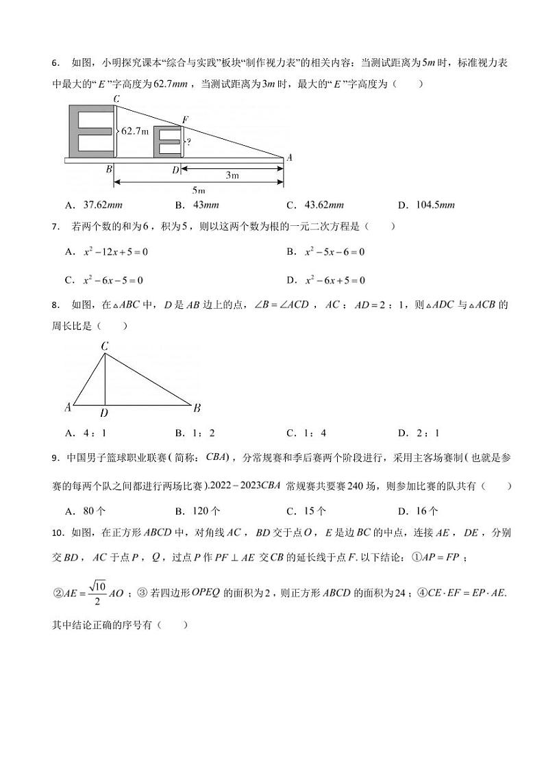 山东省烟台市招远市2024年八年级下学期数学期末考试试卷附参考答案02