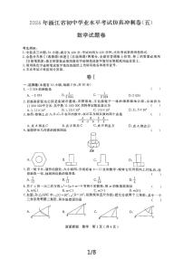 2024年浙江省初中学业水平考试仿真冲刺卷五数学（浙派联盟）