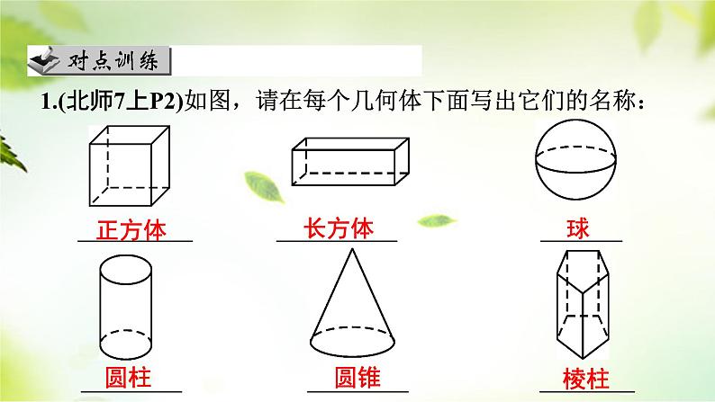 1.1　节生活中的立体图形(1)　课件　2024—2025学年北师大版数学七年级上册05