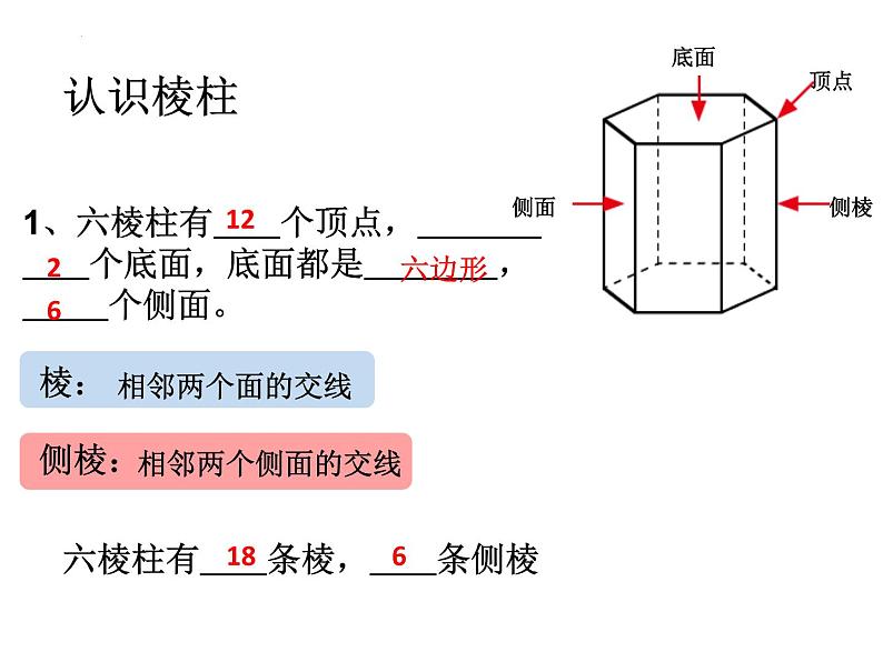 1.1 生活中的立体图形 课件2024—2025学年北师大版数学七年级上册第5页