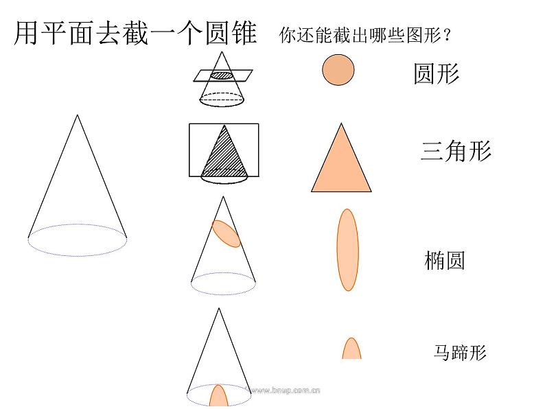 1.3 截一个几何体  课件  2024-2025学年北师大版数学七年级上册07