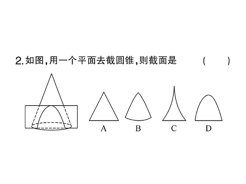 1.3截一个几何体- 2024-2025七年级北师大版数学上册作业课件第3页