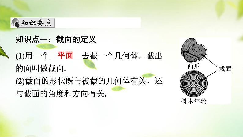 1.3截一个几何体 课件 2024-2025学年北师大版七年级数学上册04