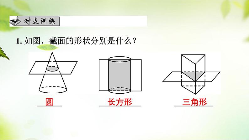 1.3截一个几何体 课件 2024-2025学年北师大版七年级数学上册05