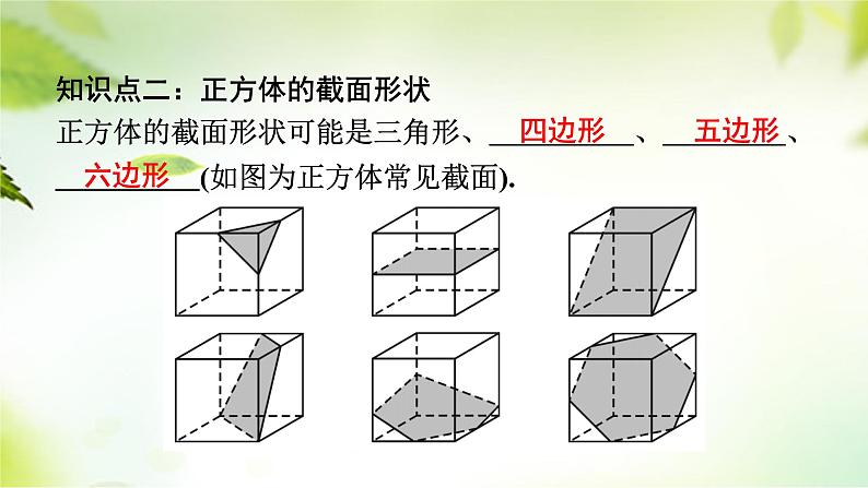 1.3截一个几何体 课件 2024-2025学年北师大版七年级数学上册06