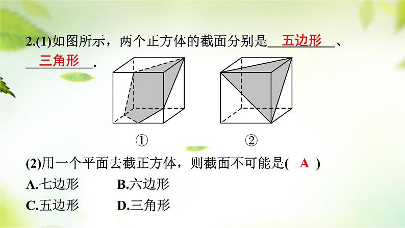 1.3截一个几何体 课件 2024-2025学年北师大版七年级数学上册07