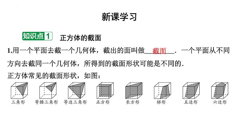 1.3截一个几何体讲练课件 2024-2025学年北师大版数学七年级上册02