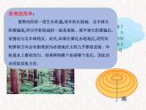 北师大版 2024-2025七年级数学上1.3截一个几何体课件