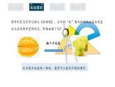 1.4 从三个方向看物体的形状 课件2024-2025学年北师大版七年级数学上册