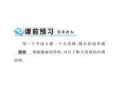 北师大版2024-2025七年级数学上册1.3截一个几何体 习题课件