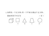 北师大版2024-2025七年级数学上册1.3截一个几何体 习题课件