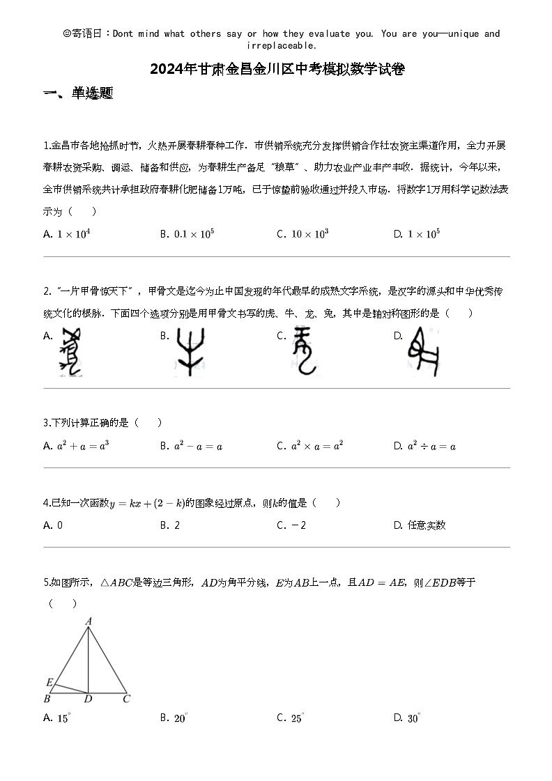 2024年甘肃金昌金川区中考模拟数学试卷01
